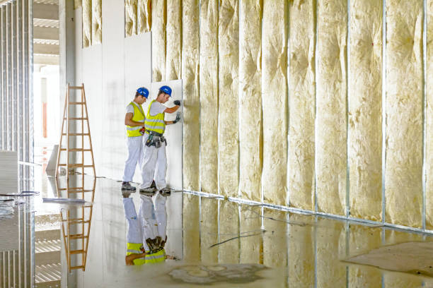 Best Residential Insulation in Alpha, NJ